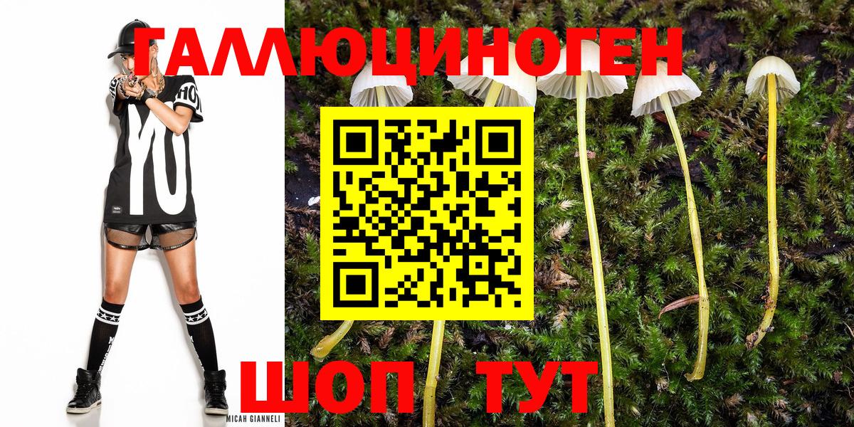 Псилоцибиновые грибы Psilocybine cubensis  Вход с VPN  Вязники  Галлюциногенные грибы прущие грибы 