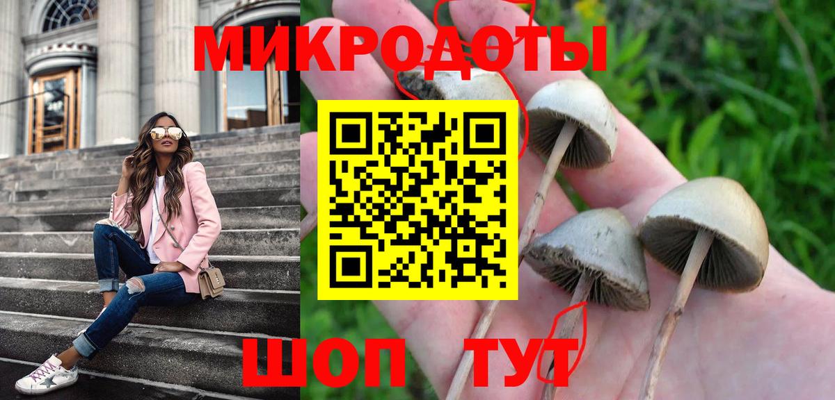 Псилоцибиновые грибы Cubensis Вязники